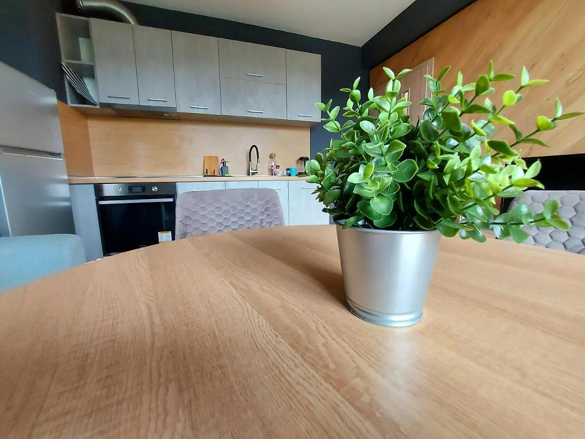 Grey Apartment Varna